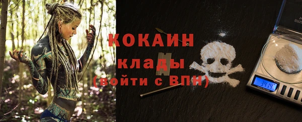 дживик Лагань